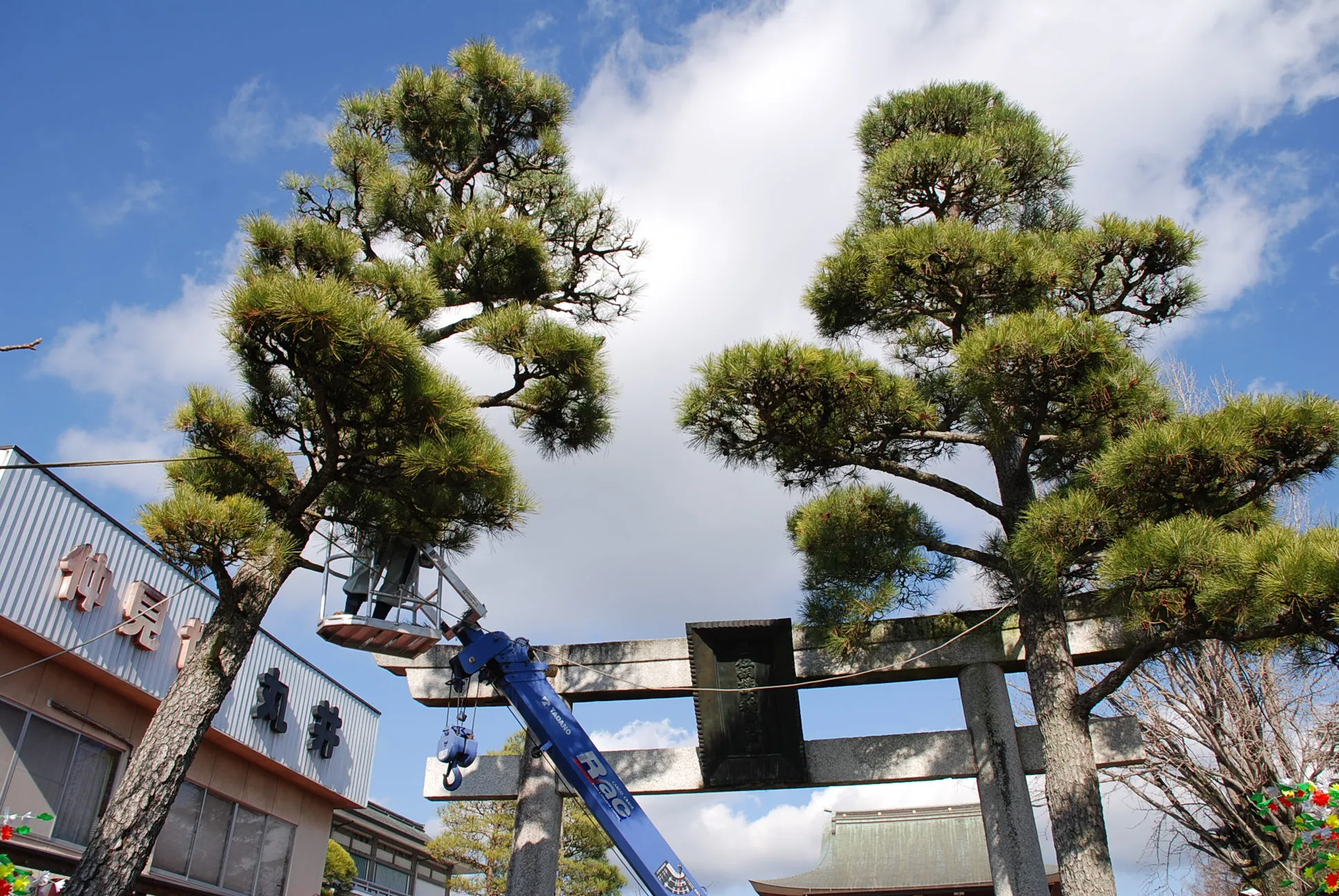笠間稲荷神社の実績写真1